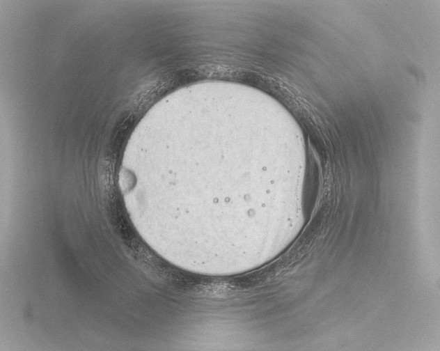 X0000115520695200912181507