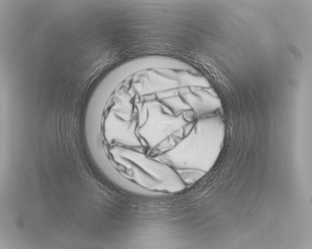 X0000115520696200912181507