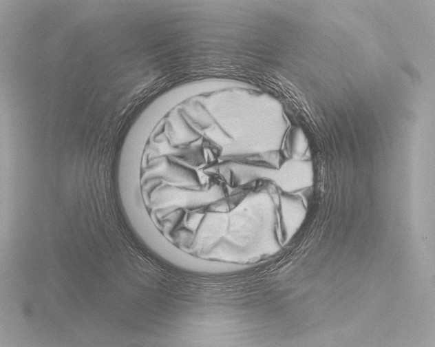 X0000115520697200912181507