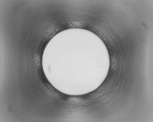 X0000115520699200912181507