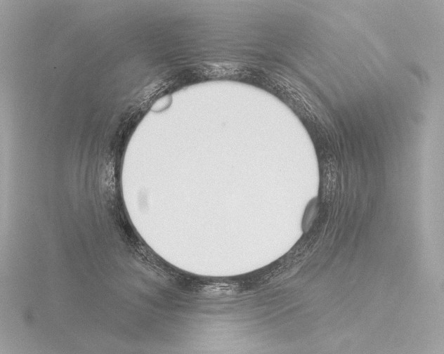 X0000115520700200912181507