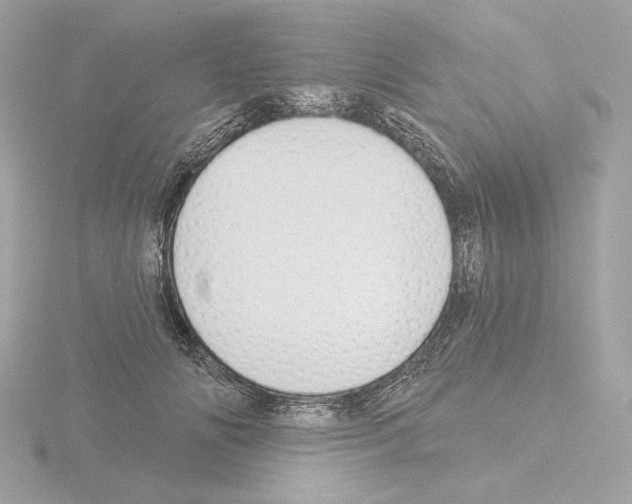 X0000115520702200912181507