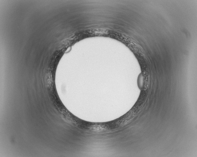 X0000115520704200912181506