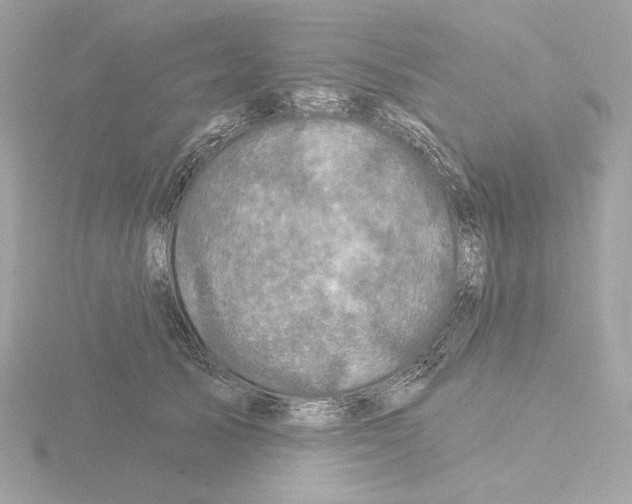 X0000115520705200912181506