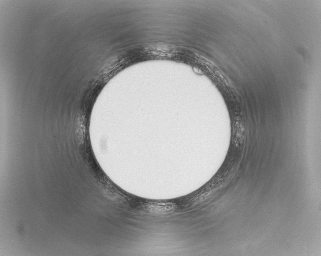 X0000115520707200912181506