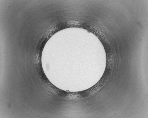 X0000115520708200912181506