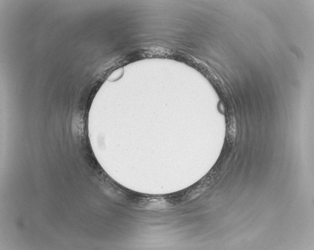 X0000115520715200912181506