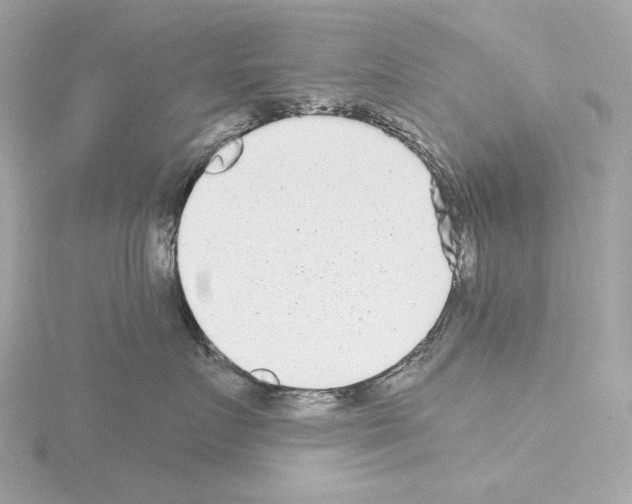 X0000115520719200912181506