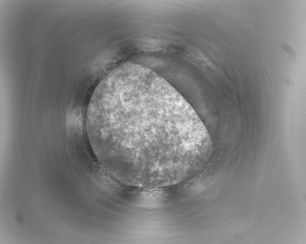 X0000115520720200912181506