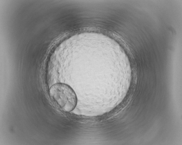 X0000115520721200912181506