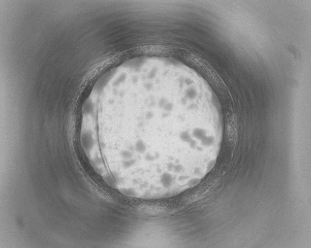 X0000115520725200912181506