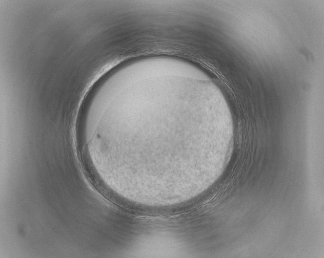 X0000115520726200912181506