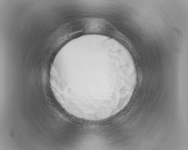 X0000115520729200912181506