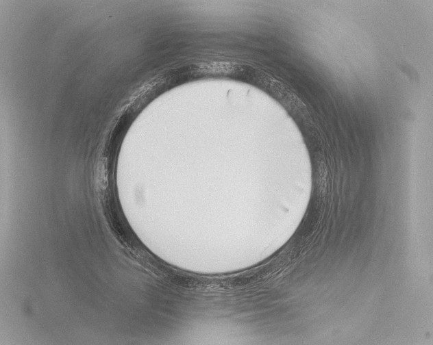 X0000115520731200912181506