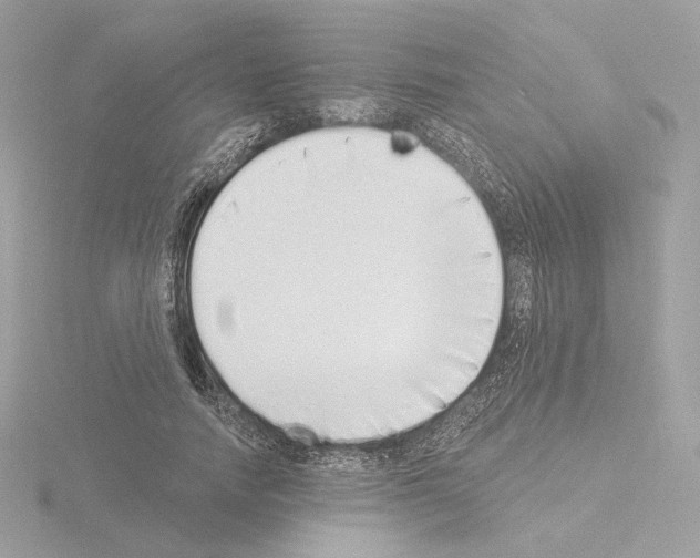 X0000115520738200912181506