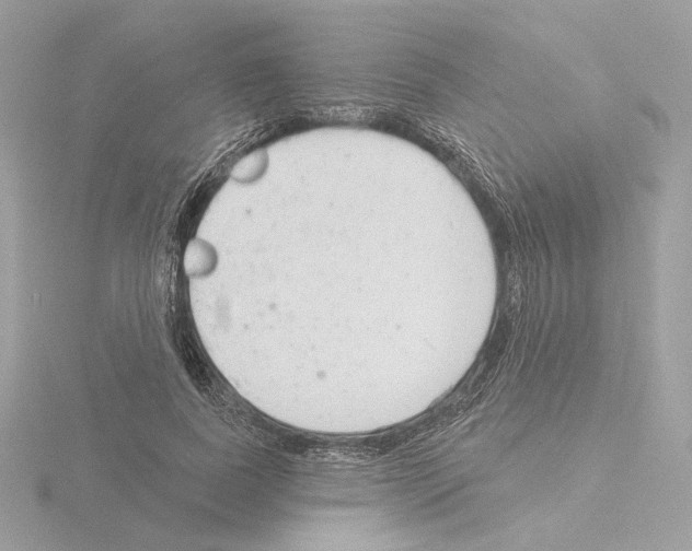 X0000115520739200912181506