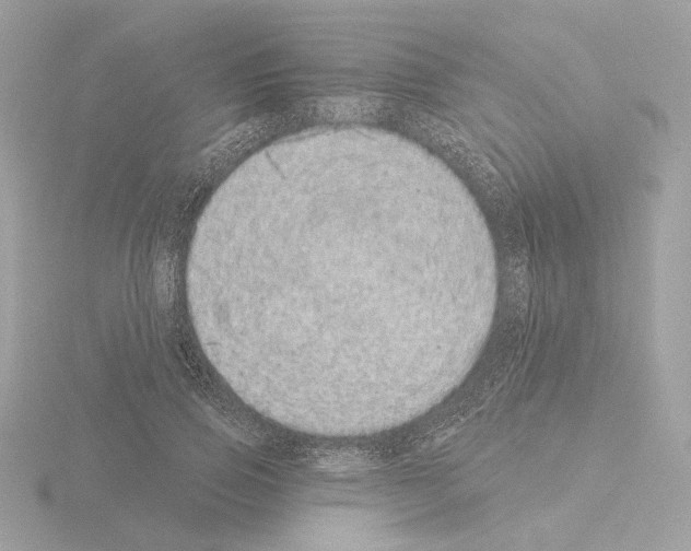 X0000115520741200912181506