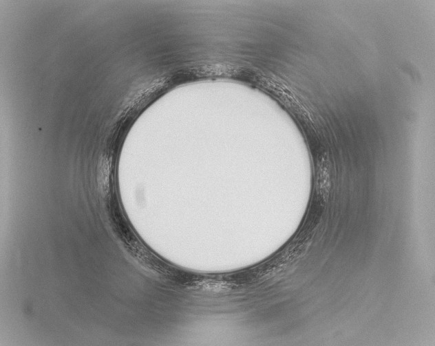 X0000115520742200912181506