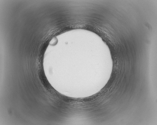 X0000115520743200912181506