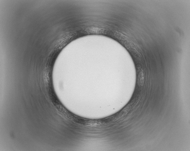 X0000115520746200912181506