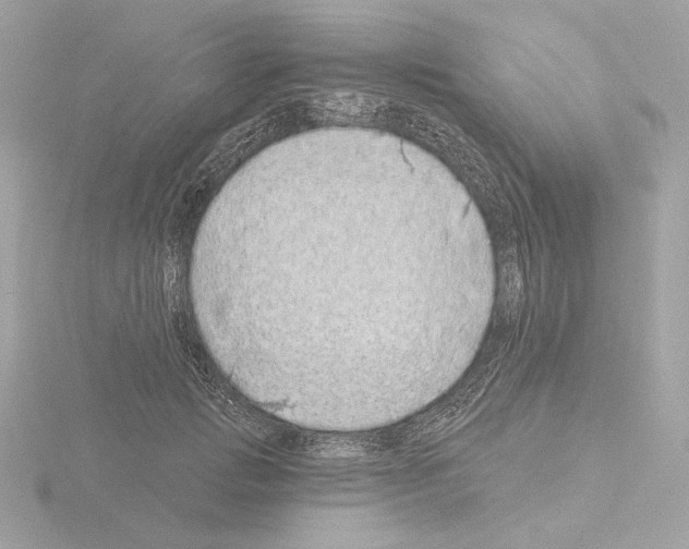 X0000115520749200912181506