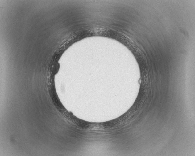 X0000115520750200912181506