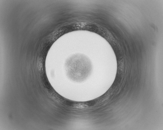 X0000115520754200912181506