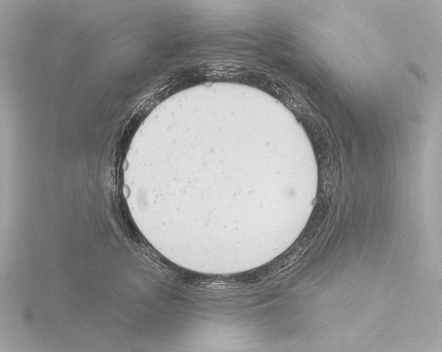 X0000115520755200912181506