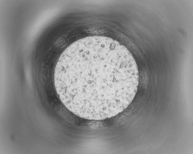 X0000115520762200912181506