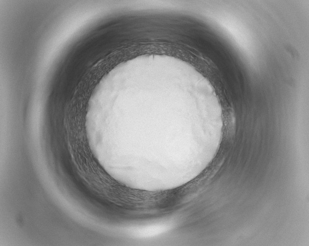 X0000115520765200912181506