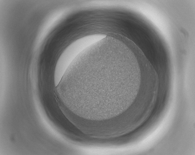 X0000115520766200912181506