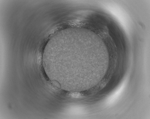 X0000115520767200912181506