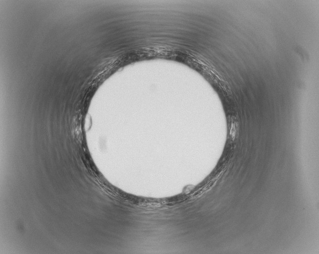 X0000115520771200912181506