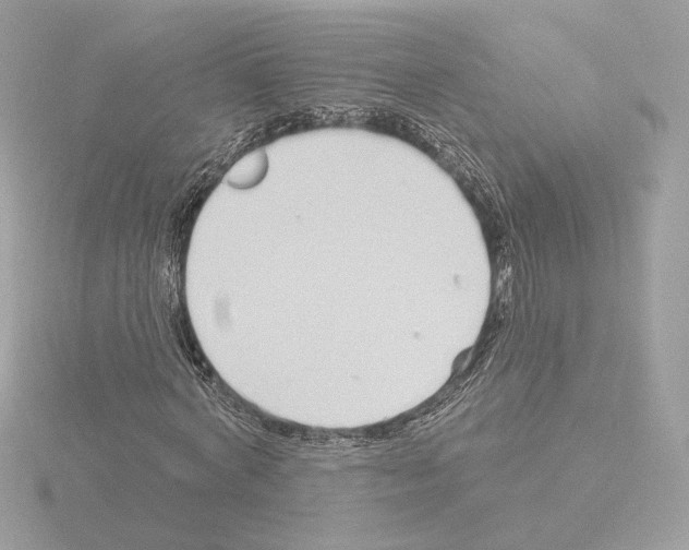 X0000115520772200912181506