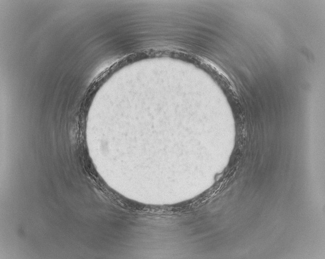 X0000115520775200912181506