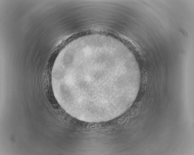 X0000115520776200912181506