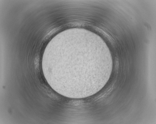 X0000115520778200912181506