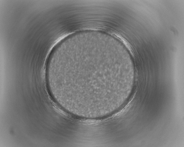 X0000115520779200912181506