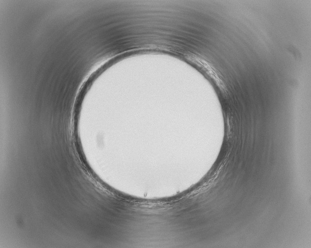 X0000115520780200912181506