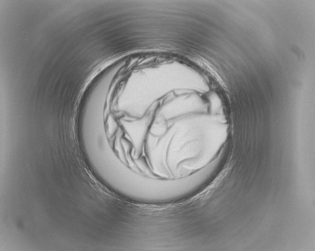 X0000115520781200912181505