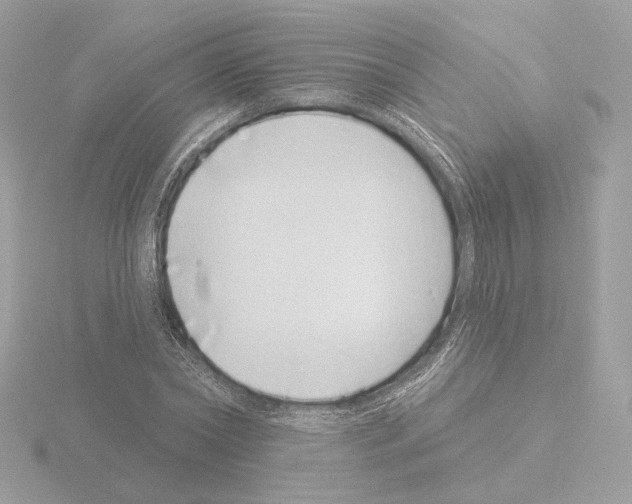 X0000115520782200912181505