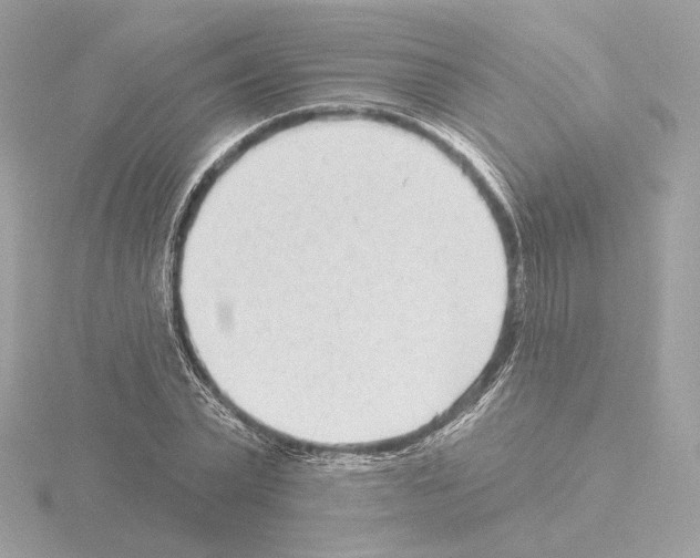 X0000115520783200912181505