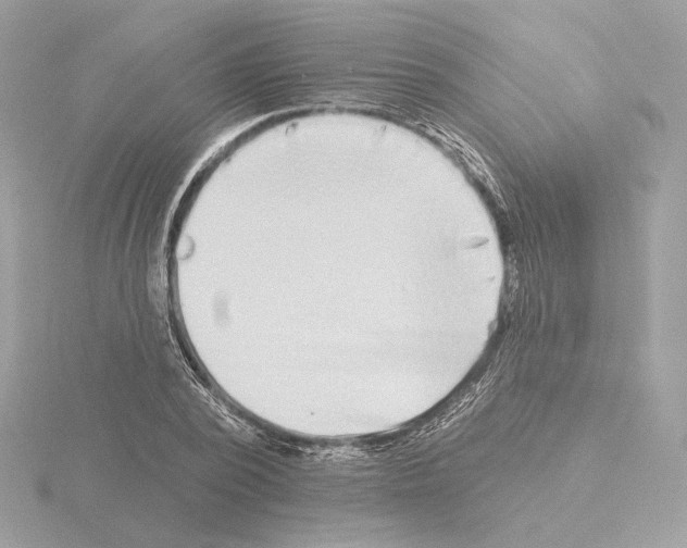 X0000115520784200912181505