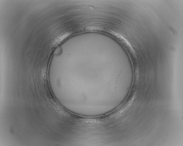 X0000115520785200912181505