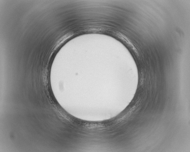 X0000115520786200912181505