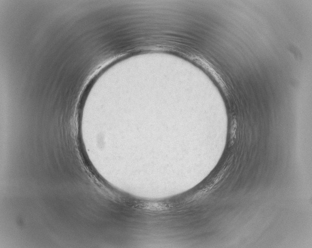 X0000115520787200912181505