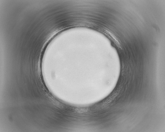 X0000115520788200912181505