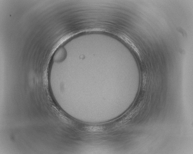 X0000115520789200912181505