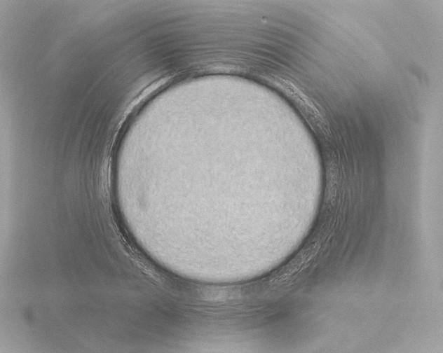 X0000115520790200912181505