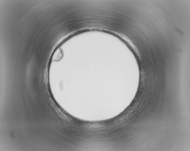 X0000115520791200912181505